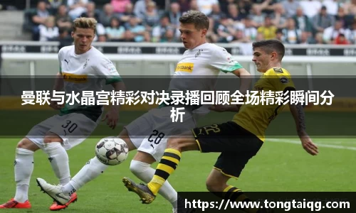 雷火电竞官方网站入口